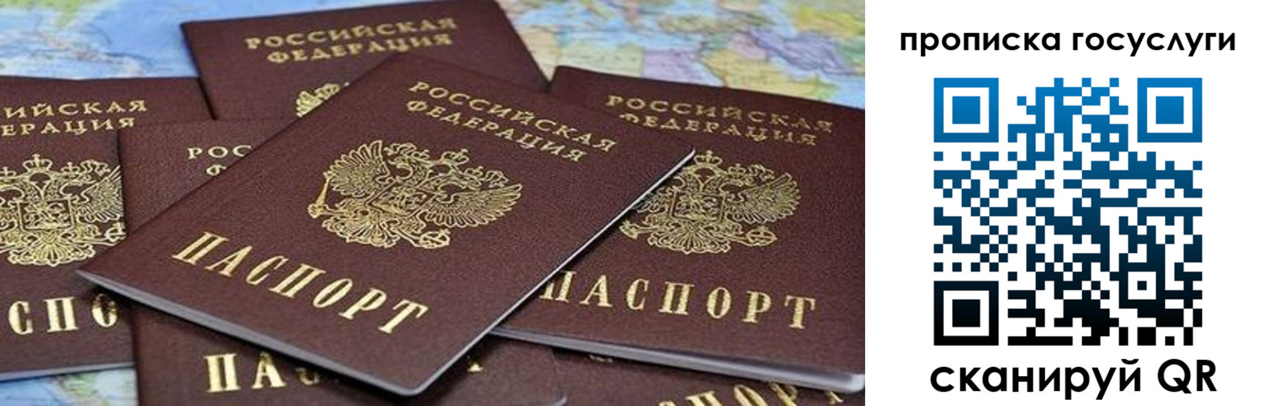 пропишу в квартире в Ельне